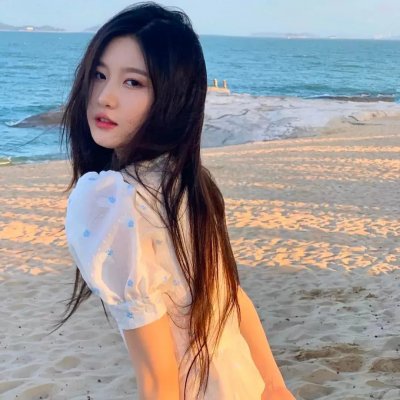 义犬奇行录 海报